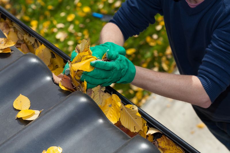 Local Commercial Gutter Service in Green Bay, WI